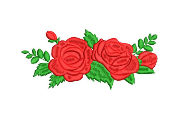 Pretty Roses with Green Branches Review