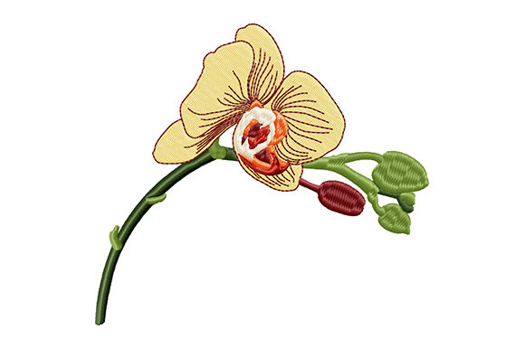 Review: Yellow Orchid Bud Flower Embroidery Design