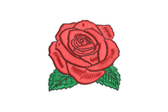 Rose with Green Leaves: A Designer’s Review