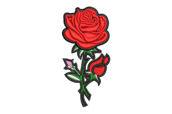 Roses with Black Border Review