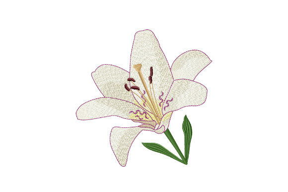 White Tiger Lily Embroidery Design Review